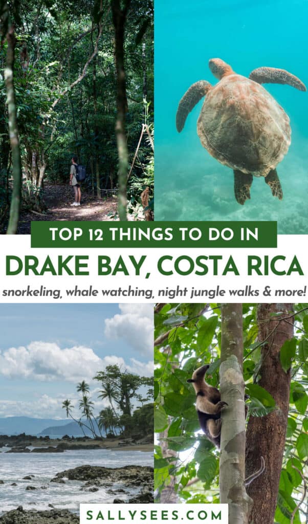 12 Best Things to Do in Drake Bay, Costa Rica 45 Things to do in Drake Bay Costa Rica Pinterest pin