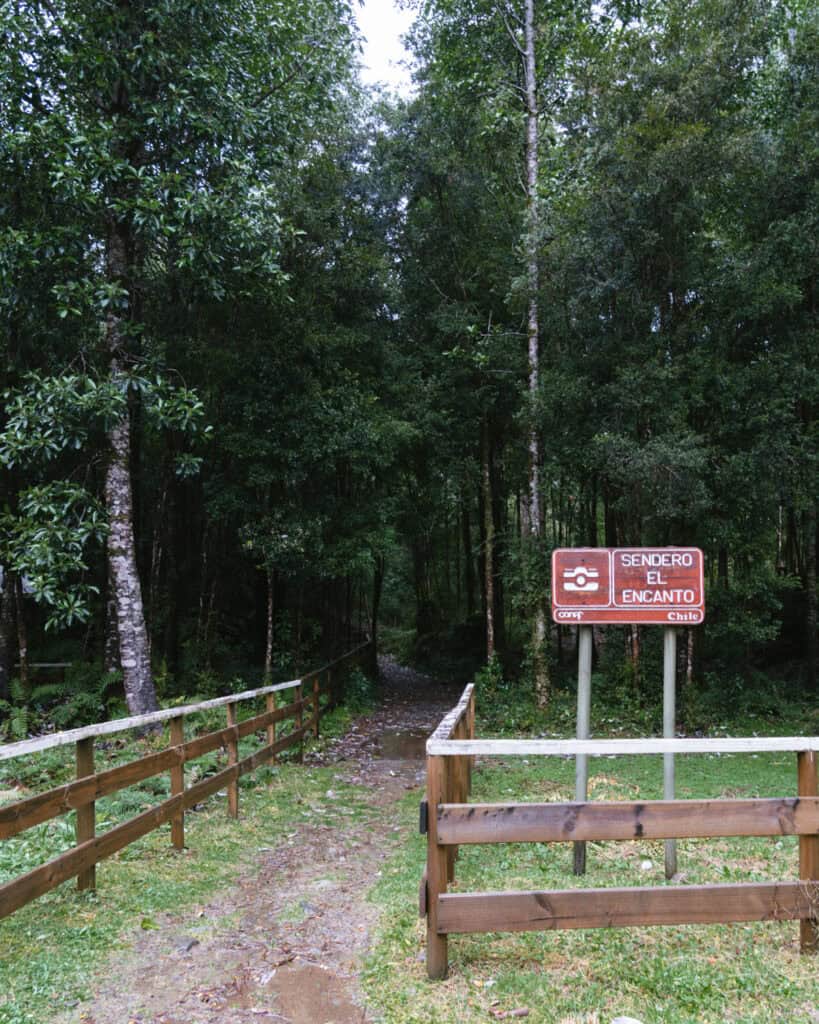 How to Visit the Alerce Andino National Park, Chile 13 A wooden trail sign for the Mirador El Encanto in Alerce Andino National Park.