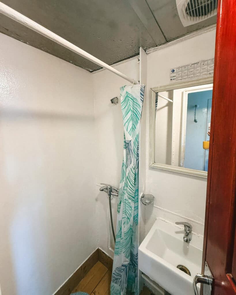 TABSA Ferry: Sailing from Puerto Natales to Puerto Yungay 25 Compact ferry shower on the Tabsa Ferry in Chile, featuring a small sink, handheld shower head, and leafy shower curtain in a narrow white-walled space.