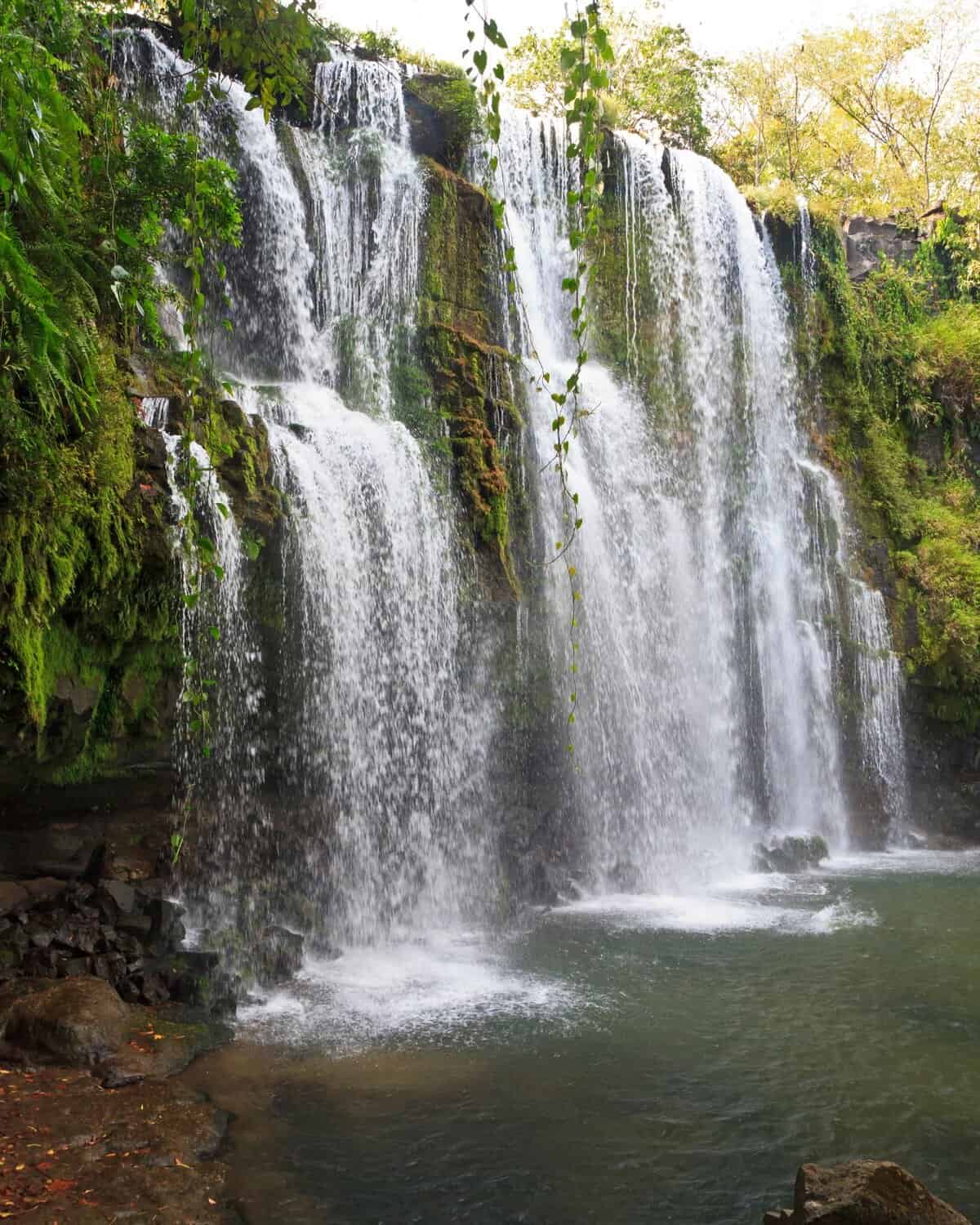 Costa Rica Travel Guide: Planning The Perfect Pura Vida Trip 20 A curtain waterfall dropping over a vine-covered rocky cliff into a pool below at Cataratas Llanos del Cortes near Liberia in Guanacaste Costa Rica.