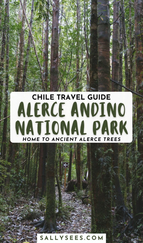 How to Visit the Alerce Andino National Park, Chile 25 Alerce Andino National Park, Chile Pinterest Pin