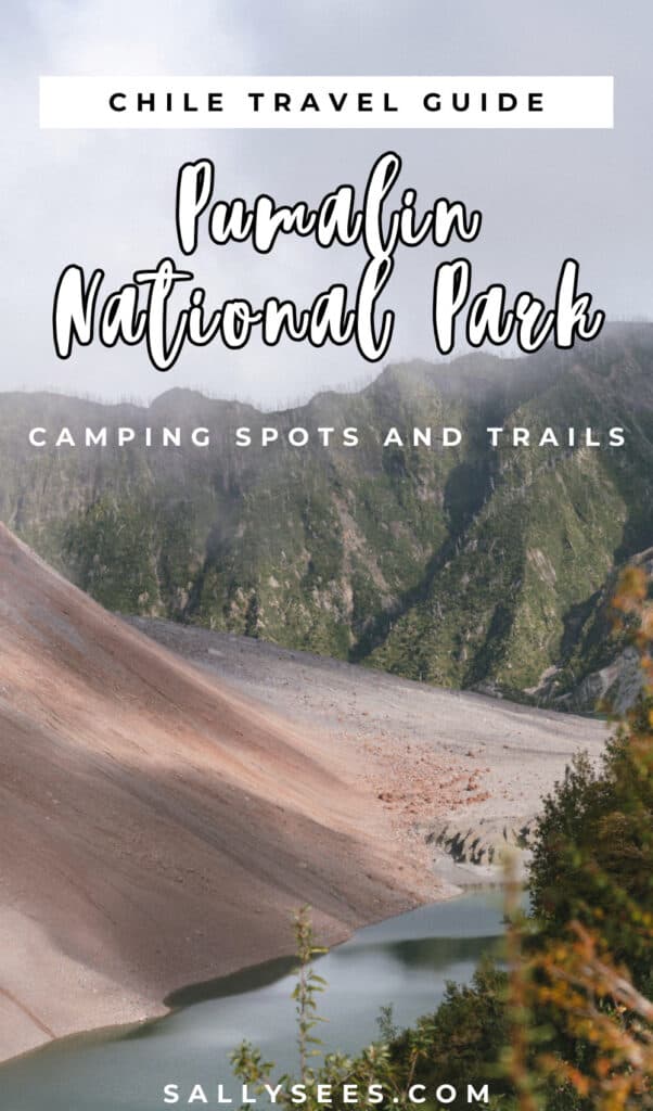 How to Visit the Pumalin National Park in Patagonia, Chile 50 Pumalin National Park in Patagonia, Chile Pinterest Pin