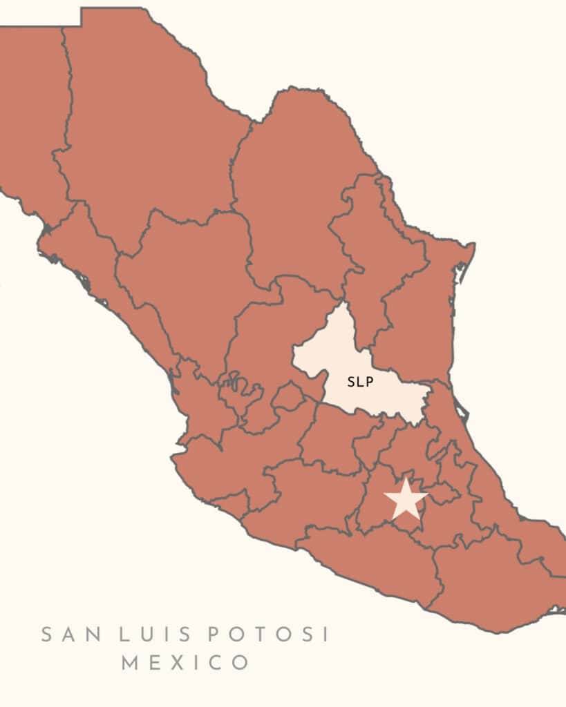 How to Visit Cascadas de Tamasopo: Huasteca Potosina, Mexico 3 A Canva graphic of a map of Mexico, with state lines. The state of San Luis Potosi is highlighted in a different colour. There is also a star showing the location of Mexico City.