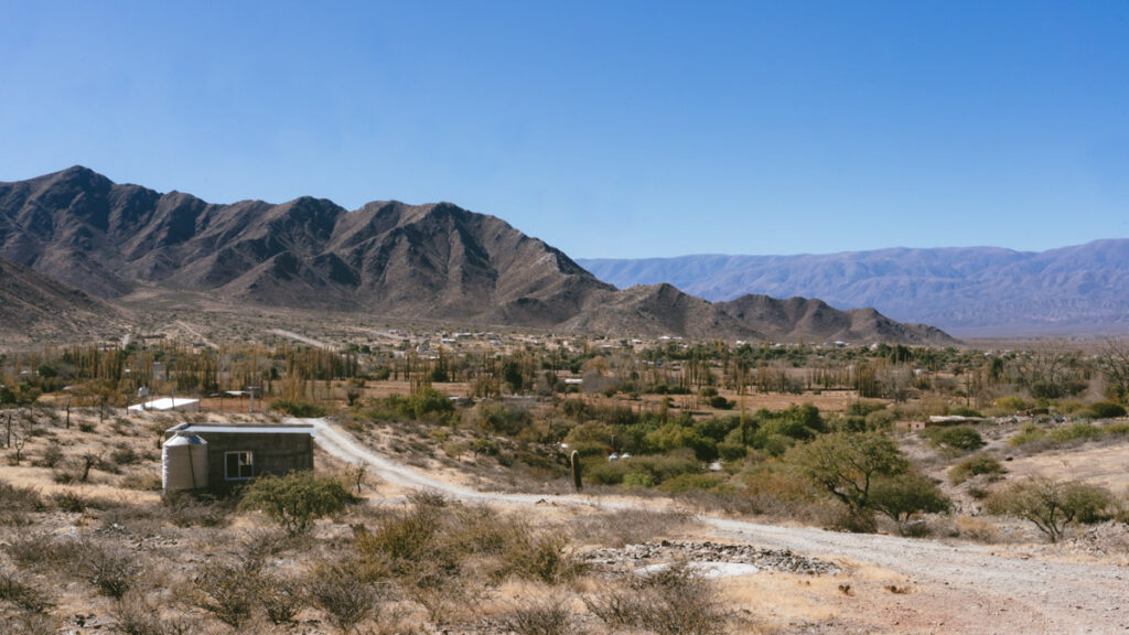 7 - 10 Day Salta Road Trip: The Best of Northwest Argentina 45 A panoramic view of a dry valley landscape near Cachi, Salta, with sparse trees, scattered homes, and rugged mountains rising in the background under a clear blue sky.