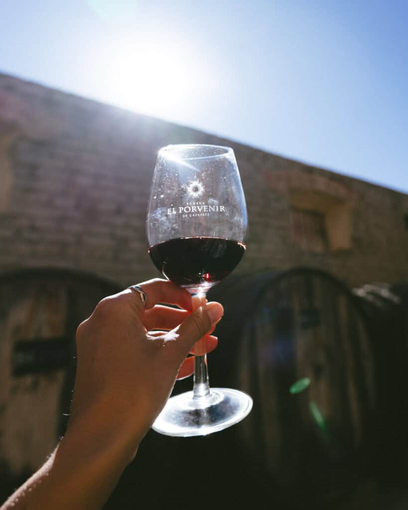 7 - 10 Day Salta Road Trip: The Best of Northwest Argentina 30 A hand holds up a red wine glass from Bodega El Porvenir in Cafayate against the sun, with oak barrels and a brick wall in the background.