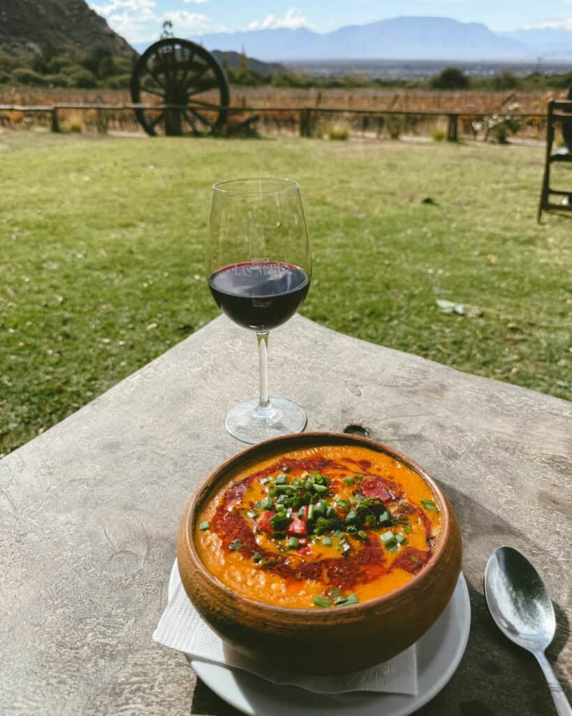 7 - 10 Day Salta Road Trip: The Best of Northwest Argentina 33 A steaming bowl of locro topped with herbs and red sauce sits next to a glass of red wine labeled “Finca Las Nubes” on a rustic table, with a vineyard and mountain view in the background.