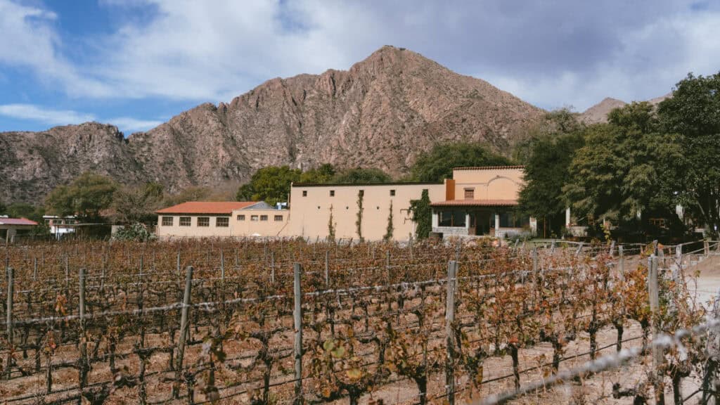 7 - 10 Day Salta Road Trip: The Best of Northwest Argentina 4 A vineyard in late season stretches toward a warm-toned building with red tile roofing, framed by the jagged mountains of Cafayate.