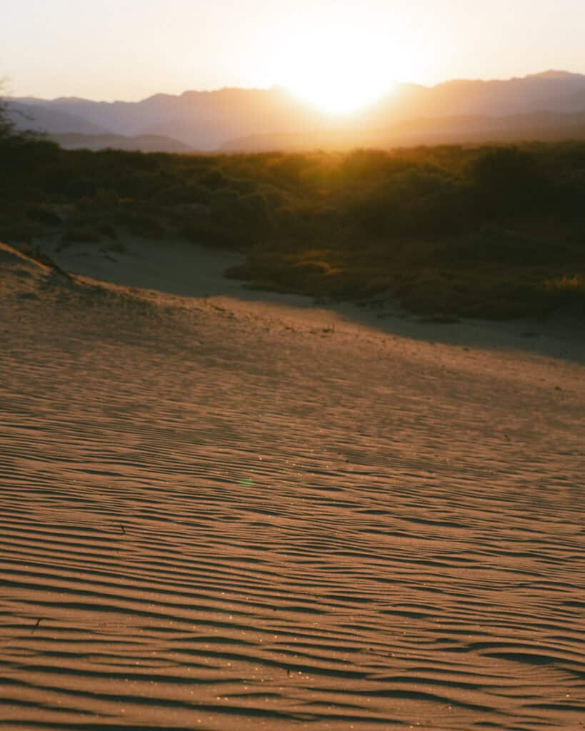 7 - 10 Day Salta Road Trip: The Best of Northwest Argentina 31 Rippled sand dunes glow under the soft golden light of sunset near Cafayate, with silhouetted mountain peaks and dense shrubs in the distance.