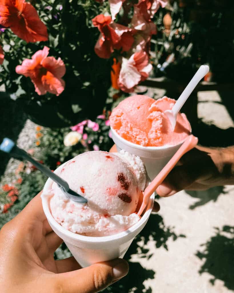Huasteca Potosina: Guide to Mexico's Waterfall Wonderland 51 Two hands holding cups of ice cream, one is white with pink flecks, the other is pink, in Huasteca Potosina with a backdrop of beautiful pink flowers.