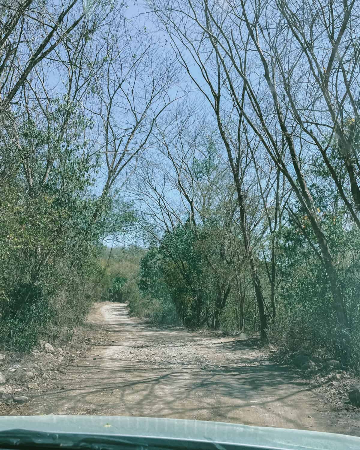 How to Visit Cascada de Tamul, San Luis Potosi: Hike or Boat 9 A rocky dirt road winds through sparse trees under a bright blue sky in Huasteca Potosina. This off-the-beaten-path route leads adventurers toward hidden waterfalls in the region.