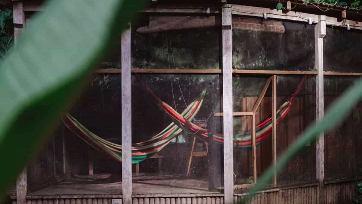 Where to Stay in San Ignacio Belize: Town or Jungle Lodge? 1 A screened room on the edge of a jungle pool with colourful hammocks strung between wooden furniture at Pineapple Hill Lodge Belize