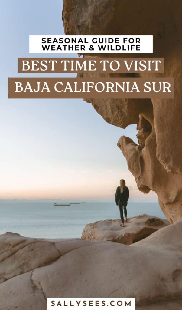 Best Time to Visit Baja California Sur (Weather & Wildlife) 27 Best time to visit Baja California Sur Pinterest pin