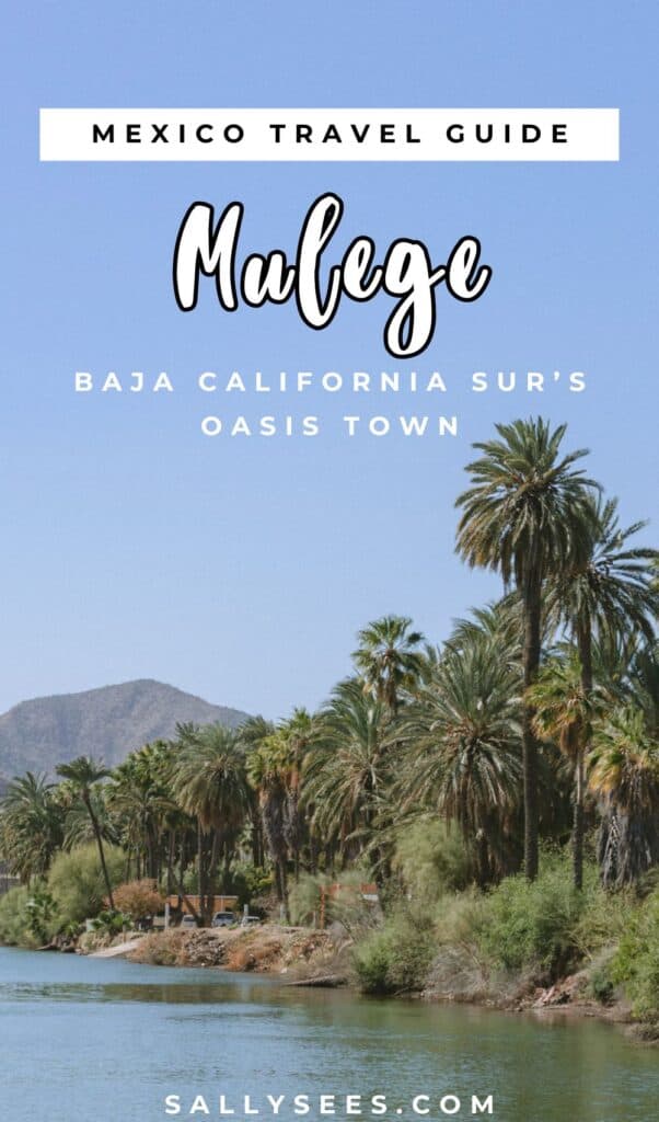 Mulege Mexico Travel Guide: Baja Sur's Oasis Town 34 Mulege Travel Guide Pinterest Pin