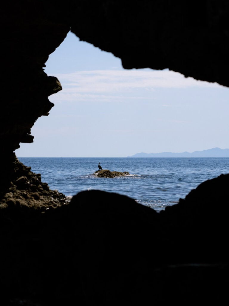 Our Day at Isla Espiritu Santo, La Paz: Sea Lions & Beaches 18 A seabird perched on a rock in the ocean is seen through the silhouette of a cave opening with distant mountains across the water at Isla Espiritu Santo in La Paz Baja California Sur.
