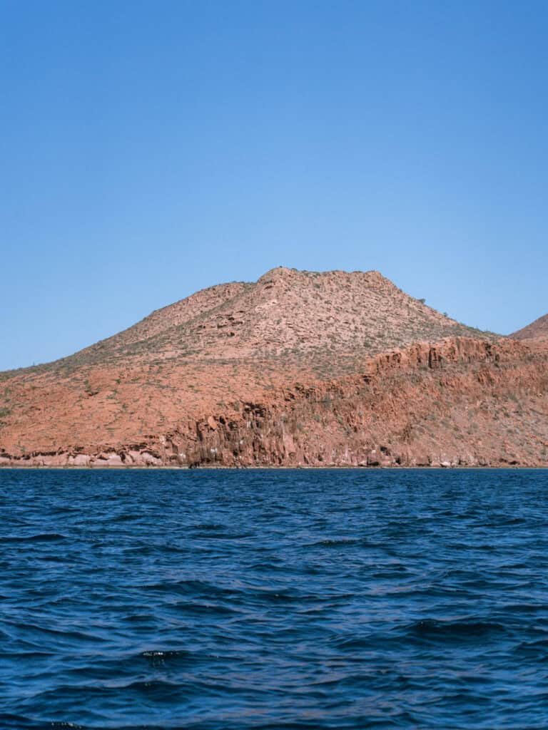 Our Day at Isla Espiritu Santo, La Paz: Sea Lions & Beaches 2 Smooth red and pink coastal rock formations meet turquoise water with sparse desert vegetation above at Isla Espiritu Santo in La Paz Baja California Sur.