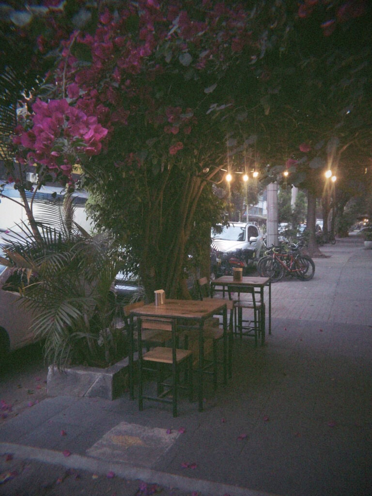 Mexico City Food Tour: Our Experience with Sherpa Food Tours 14 Outdoor sidewalk seating in Mexico City shows small wooden tables and chairs under a tree with pink flowers and string lights creating a cozy evening dining atmosphere.